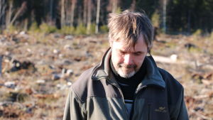 Ari Lehtonen vill stoppa gallringarna på Sälgrund. En man står på ett kalhygge och blickar nedåt.