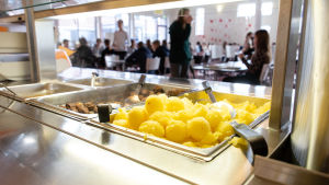Hur ska till exempel skolmaten skötas frågar sig både Wulff och Kurtén. potatisar i en skolmatsal