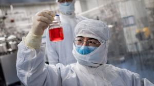 En kinesisk forskare med en apas leverceller i handen. Bilden är tagen i slutet av april i en bioteknikanläggning i Peking. En kinesisk forskare håller upp en flaska med rött innehåll. Forskaren är iklädd vit skyddsdräkt.
