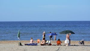 Solbadande turister vid Adriatiska havet. Bild tagen på en strand. I bilden syns ryggarna på några personer som sitter på stranden.