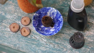 Här är allt du behöver: odlingsplugg, nätkruka och näring. Tillbehör för hydroponisk odling.