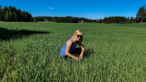 Anna Johansson tog mod till sig och valde att byta bransch. En kvinna sitter i en veteåker.