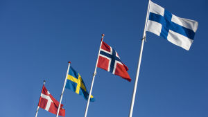 Vilken flagga skulle bli aktuell i en Nordisk förbundsstat? Danmarks, Sveriges, Norges och Finlands flagga i rad.