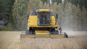 Jordbruket ska bli klimatvänligare, men hur ska det gå till? Puimuri pellolla