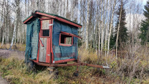 Det lilla huset intill utfodringsplatsen är inte till för att skjuta djur utan för att spana på dem. En litet blått hus på en släpvagn med hjul.