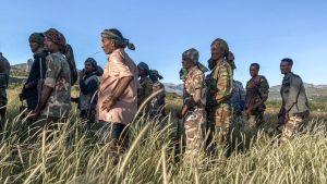 Amhariska milismän som strider på regeringens sida i Tigray, här fotograferade under träning den 10 november. Amhariska milismän som strider på regeringens sida i Tigray, här fotograferade under träning den 10 november.
