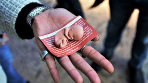 Foster i gummi som delades ut till deltagarna på familjekongressen i Verona 2019 fick kraftig kritik. Foster i gummi som delades ut till deltagarna på familjekongressen i Verona 2019