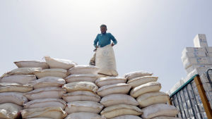 Finland stöder FN:s humanitära arbete i bland annat Etiopien, Myanmar, Bangladesh, Somalia och Niger. Den här bilden är från Yemen. En man sorterar säckar med mat.