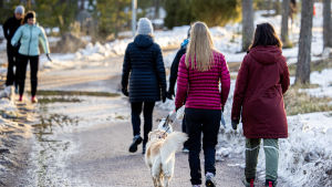 Det är fullt tillåtet att gå ut o gå, men också då ska man tänka på säkerhetsavstånden. Ulkoilijoita Espoon Matinkylässä.