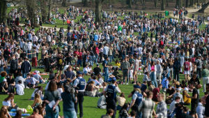 Kring 2 000 människor, enligt vissa källor till och med betydligt fler, kom till parken Bois de la Cambre där fejkfestivalen La Boum skulle äga rum. Hundratals människor har samlats till fejkfestival i Bryssel.