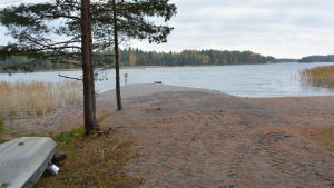 Algblomningen är nu riklig vid Pellinge kursgård. pellinge kursgård har fått ny brygga
