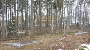 Ett nytt stadshus i Karis kunde ha sin parkeringsplats längs med Nils Grabbegatan som skymtar bland träden. Vy mot Nils Grabbegatan där ett stadshus kunde byggas i Karis.