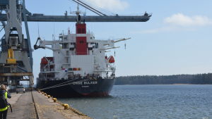 Fartyg som för ut spannmål via Ingå hamn. Fartyget Chise Bulker exporterar fodervete från Ingå till Spanien.