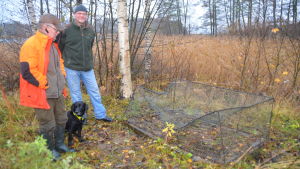 Den här fällan sattes ut i Jägarbacken för några månader sedan. Nu har någon förstört den. Hunden Fanny brukar också fånga mårdhundar, berättar husse Carl-Johan Jansson. Buren tillhör Ekenäs jaktvårdsförening, berättar Marco Lehtikangas Carl-Johan Jansson och Marco Lehtikangas står bredvid en söndrig mårdhundsfälla med labradoren Fanny.