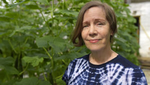 Irene Vänninen, projektledare för projektet Inno-Växthus Irene Vänninen, projektledare för projektet Inno-Växthus