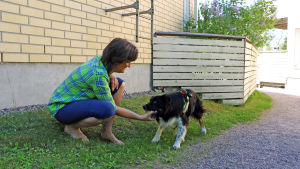 Gabi Stubb tillsammans med sin hund Noppa. Kvinna som leker med en hund. Hunden håller en tennisboll i munnen.