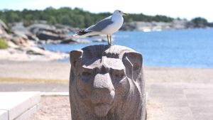 Vill man ha havsnära boende gäller det att vara ute i god tid. Mås sitter på huvudet av en lejonstaty. I bakgrunden en strand och hav.