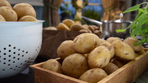 Perunoita pöydällä