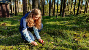 Heidi Aspelin studerar arterna i skogsdungen. Här finnas bland annat lingon, blåbär och väggmossa. En flicka sitter och studerar en bädd av mossa i en skogsglänta.