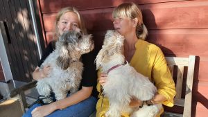 Hundar har blivit viktiga för många under coronaepidemin, sä även för familjen Stråhlmann. Molly och Jerry heter de här krabaterna. Elin Stråhlmann med mamma Ulrica och hundarna Jerry och Molly.