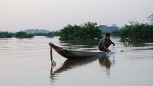 Största delen av dem som bor vid Mekong fiskar aktivt. Utan proteinet från fiskarna skulle miljontals människor ha svårt att klara sig. Största delen av dem som bor vid Mekong fiskar aktivt. Utan proteinet från fiskarna skulle miljontals människor ha svårt att klara sig.