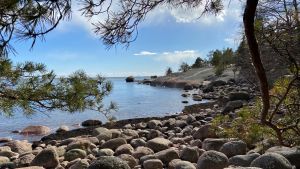 Varlaxudden visade sig från sin bästa sida under torsdagen. Vik vid stenig strand i skärgården.