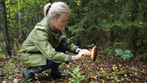 Elisabeth Eriksson, svamprådgivare vid Marthaförbundet, godkänner också epitetet svampentusiast. Hon trivs i svampskogen. En kvinna vid namnet Elisabeth Eriksson