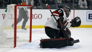 Adin Hill har imponerat hittills. Adin Hill har fått chansen i NHL.