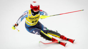 Rosa Pohjolainen.