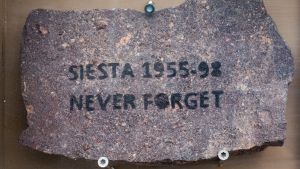 Kivi jossa teksti Siesta 1955-98 Never Forget