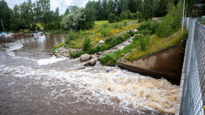 På hösten följer många entusiaster med leken från Koskosvägens bro. Fiskväg som förenas med en större å.