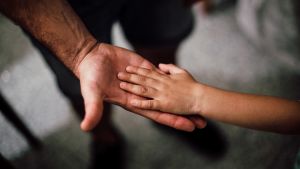 Forskare vill ta reda på om pappans trauma kan leda till stressrelaterade sjukdomar hos barnet. Ett barn håller sin hand på en vuxens.