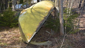 Det ska bli lättare för staden att föra bort övergivna båtar. En övergiven, gammal båt i skogen.