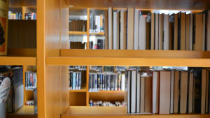 Den Nya Akademien villa använda sig av bibliotekariernas kompetens. tom hylla på lovisa bibliotek
