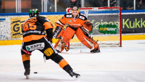 Ukko-Pekka Luukkonen ligadebuterade mot KooKoo den 25 januari 2018. Ukko-Pekka Luukkonen ligadebuterade mot KooKoo den 25 januari 2018.