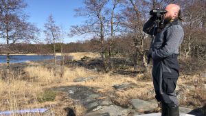 Går ingenstans utan kikare. Aki Aintila ser fram emot den långa våren med otaliga flyttfåglar som passerar Uddskatan, den sydligaste udden av det finska fastlandet. Person tittar med kikare över havet.