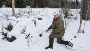 Ovanför Lindén fanns spår av uttrar som rutschat ner mot bäcken och hålan som de kan ha vilat i. Christian linden i en snöig slänt pekar på ett litet hål i marken