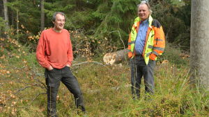 Henry Brunström (t.h.) och Lennart Biström har aldrig sett någon röjning som liknar det som skett på Skåldö och Torsö. Henry Brunström (t.h.) och Lennart Biström.