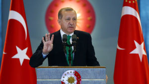 Oppositionen befarar att president Recep Tayyip Erdoğan får nästan oinskränkt makt om grundlagsändringen godkänns i en folkomröstning i april Oppositionen befarar att president Recep Tayyip Erdoğan får nästan oinskränkt makt om grundlagsändringen godkänns i en folkomröstning i april
