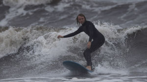 Surfare på Rhode Island. En surfare i Newport, Rhode Island, uttnyttjar de stora vågorna som föregår orkanen Florence.