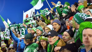 Trömpperit i full fart under bandyfinalen 2017 mot Veiterä. Akilles fick då silver. Vilda bandyanhängare hejar.