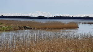 Den bro som planeras över Pickalaån får alltså inte störa den här utsikten över Pickalaviken från Pickala gårds karaktärsbyggnad. Vy från Pickala gård ut över vattnet i Pickala.