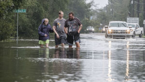 Största delen av Paradise Beach nära staden Pensacola i Florida ligger under vatten. Största delen av Paradise Beach nära staden Pensacola i Florida ligger under vatten.