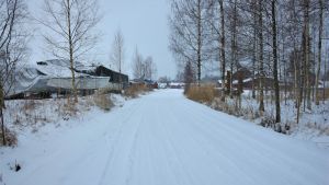 Sommarfåren kan beta på var sin sida om vägen. I bakgrunden syns båtar som förvaras i kyrkbyn på vintern. Det planeras nya hus intill småbåtshamnen i Ingå där det blir en bostadsmässa 2022.