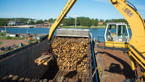 Skogax har skeppat ut runt 60 000 kubikmeter stormfälld skog från Algots varv i Mariehamn. Den andra stora aktören, Ålands skogsindustrier, har processat över 200 000 kubikmeter sedan årsskiftet. Av uppskattningsvis 1 miljon kubikmeter stormfälld skog har cirka 300 000 processats. Ett fraktfartyg i Mariehamn lastas med stockar som fälldes i stormen Alfrida 2 januari 2019.