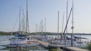 Fribytarna har sin segelbåt vid båthamnen Kugghamn. Segelbåtar i kugghamnen