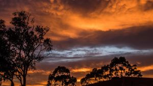 Skogsbränderna färgar kvällshimlen röd i sydöstra Australien. Skogsbränderna färgar kvällshimlen röd i sydöstra Australien