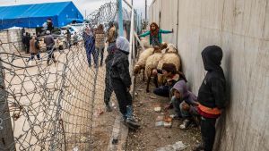 Barn i det kurdiskstyrda lägret al-Hol i Syrien. 16.11.2020 Barn i det kurdiskstyrda lägret al-Hol i Syrien. 16.11.2020