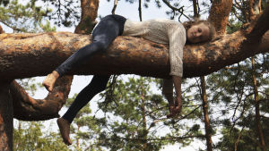 I skydd av träden lever de miljoner arter som stärker naturen i en föränderlig värld. Och samtidigt finns där en nytta för människan. Kvinna ligger på tjock tallgren med armar och ben dinglande ner