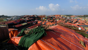 Massiva flyktingsamhällen har uppstått nära Cox's Bazar i Bangladesh då över en halv miljon människor på kort tid tog sig över gränsen undan våldet. Stort flyktingläger i Bangladesh.